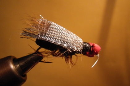 Fly Shop: The Butt Ugly Fly