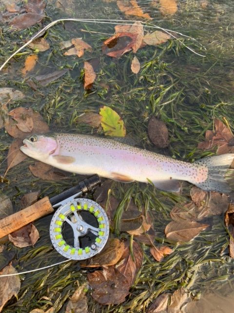 Russ Fish Trips: A friend of a friend knows a guy who knows a guy… – Flyfishers ...