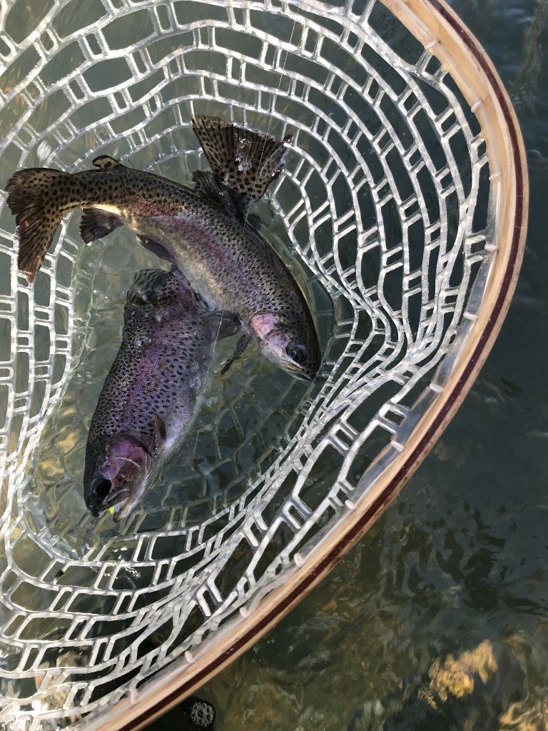 Trips A Good Day To Go Fishing? Flyfishers at the Crossing