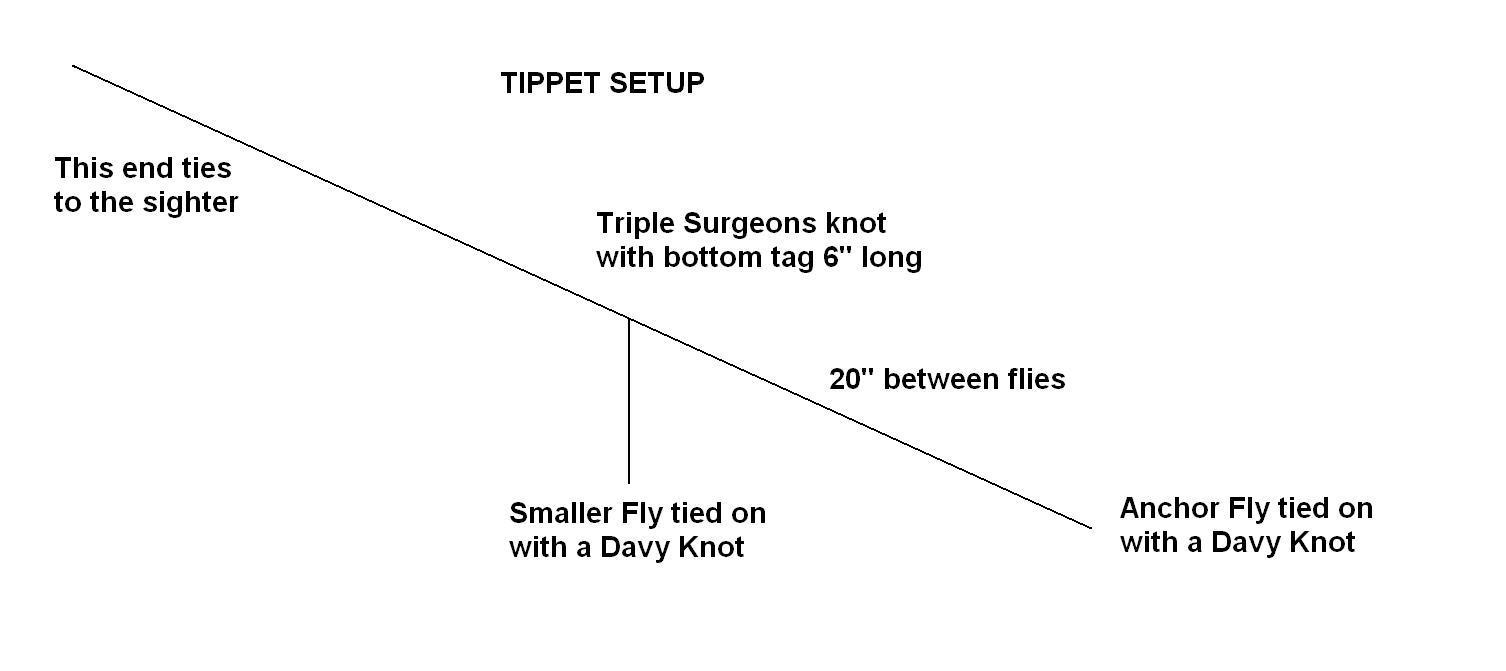 Tippet Setup